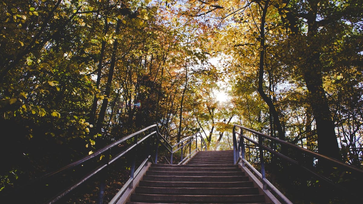 Stone steps climbing through autumn trees toward bright sunlight