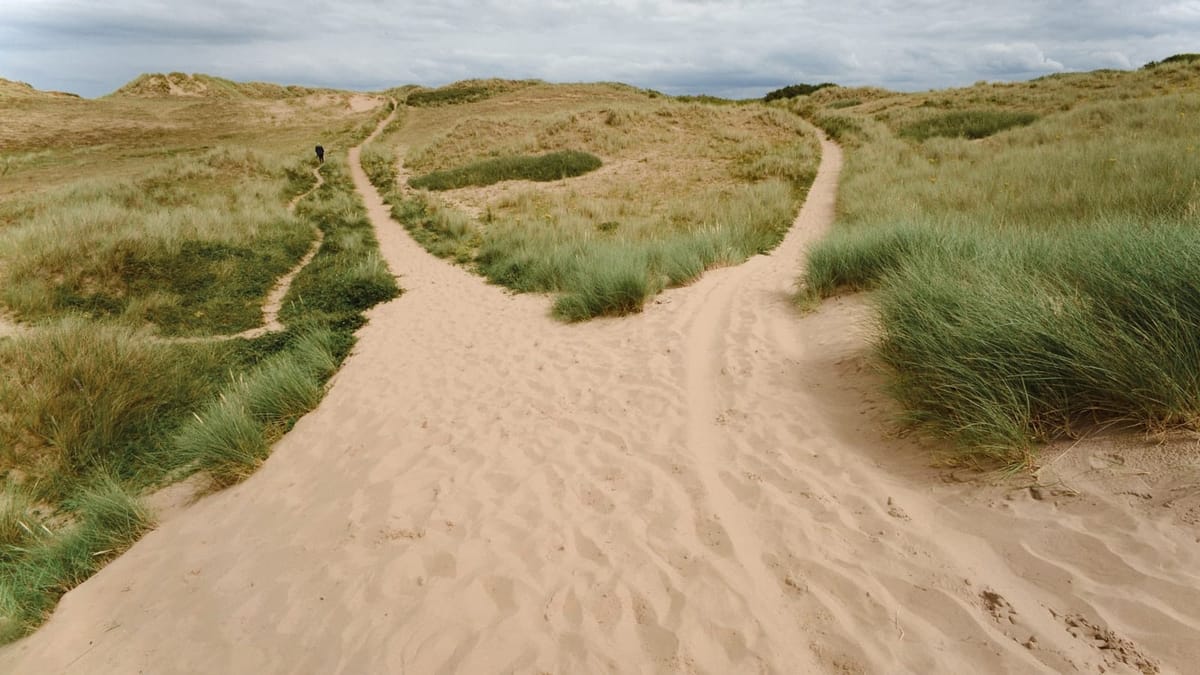 A sand path through coastal dunes splitting into three tracks, one walker heading up the left-hand one